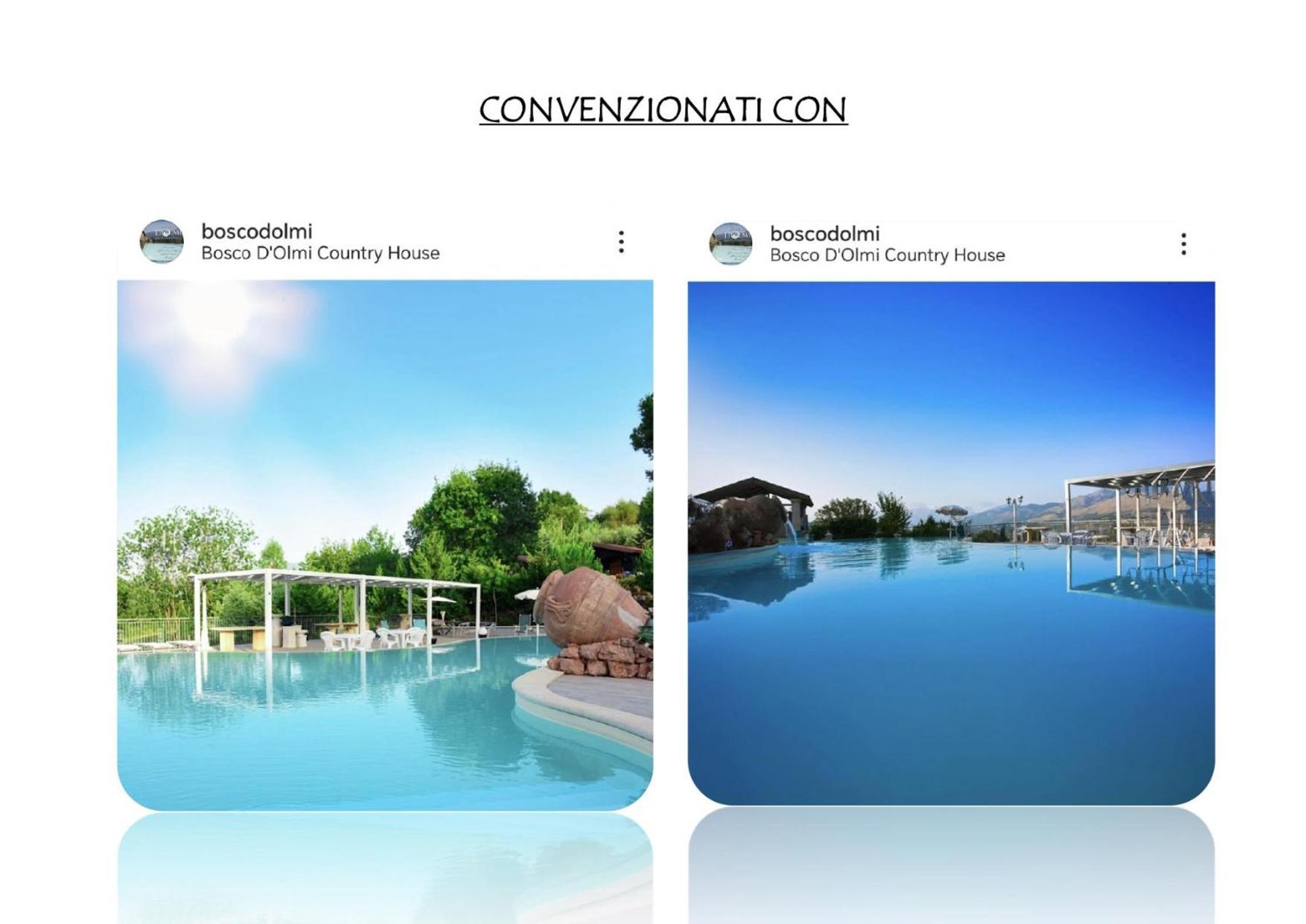 Sant'Ambrogio sul Garigliano B&B Da Carmela المظهر الخارجي الصورة